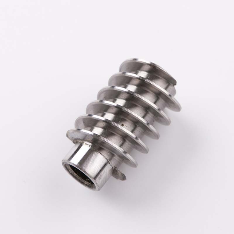 Customized Worm & Gear 