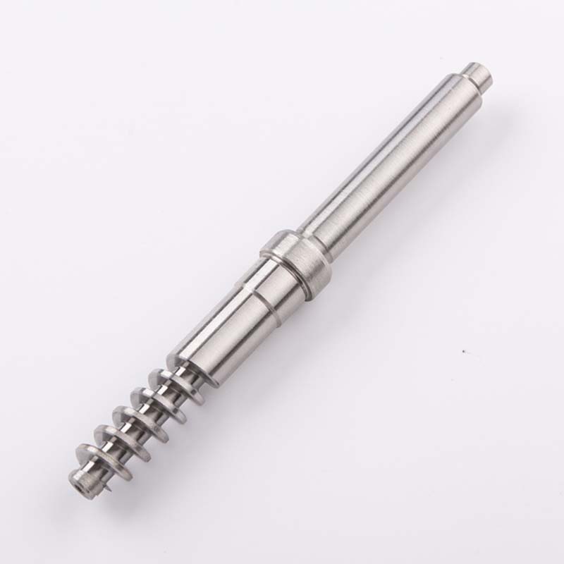 Customized Worm & Gear 