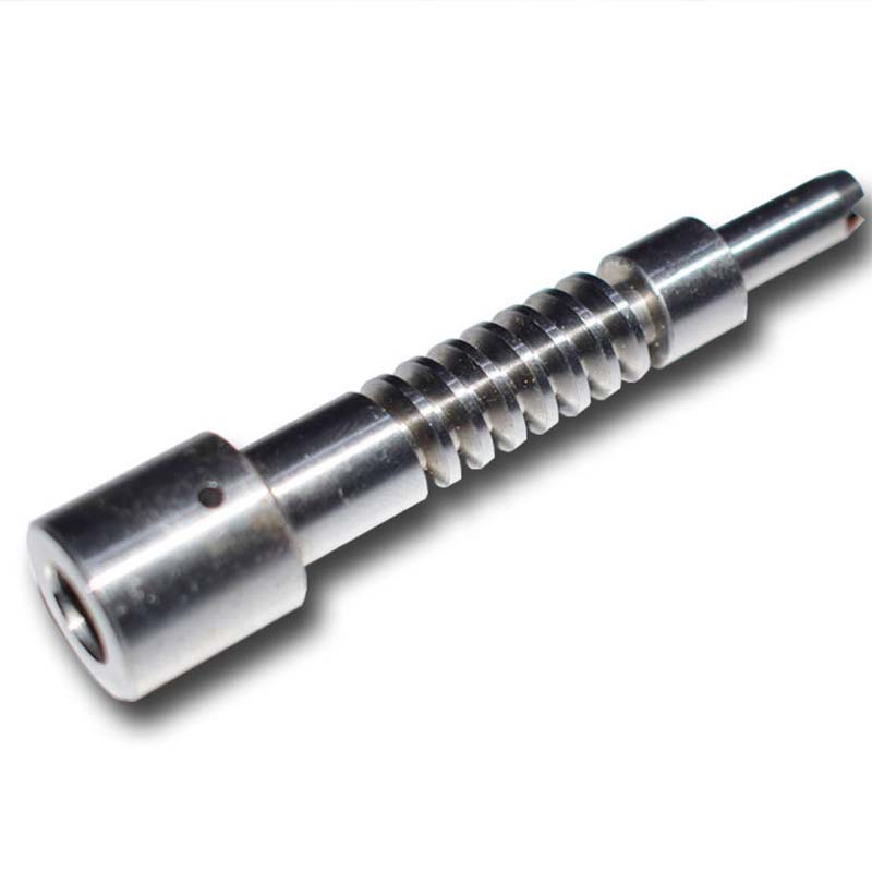 Customized Worm & Gear 
