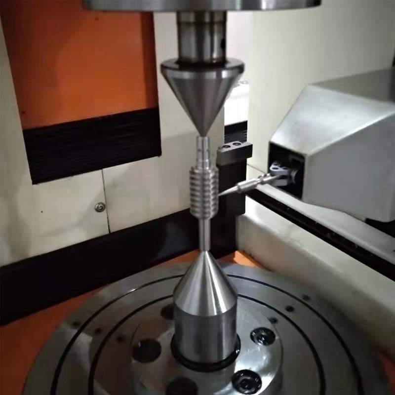 Customized Worm & Gear 